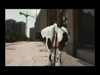 i-like-to-meuh[1]