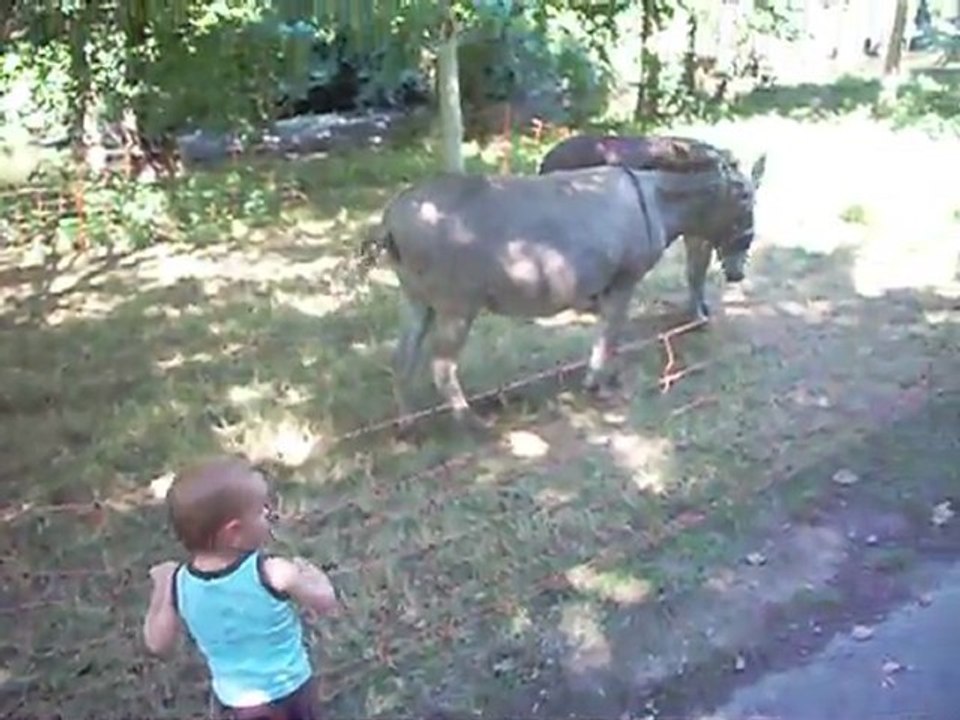 Au zoo du cirque a Cholet