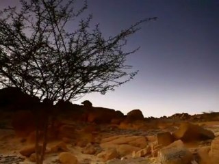 Frank Zappa - Shut Up 'N' Play Yer Guitar Some More