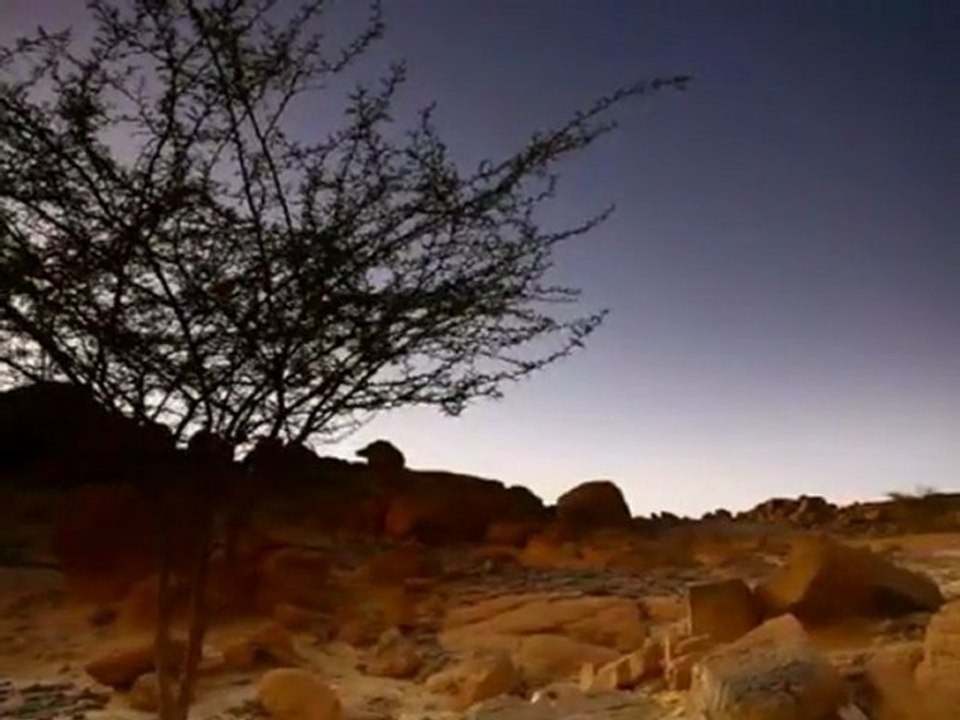 Frank Zappa - Shut Up 'N' Play Yer Guitar Some More