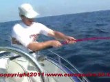 Pêche aux leurres du thon sur chasses par Europêche34