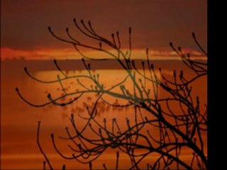 SUAVİ  ...  HASRETİMDİN  SEN  OYSA  ...