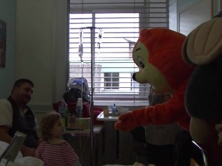 Des peluches dans le service de pédiatrie de l’hôpital de Carcassonne :