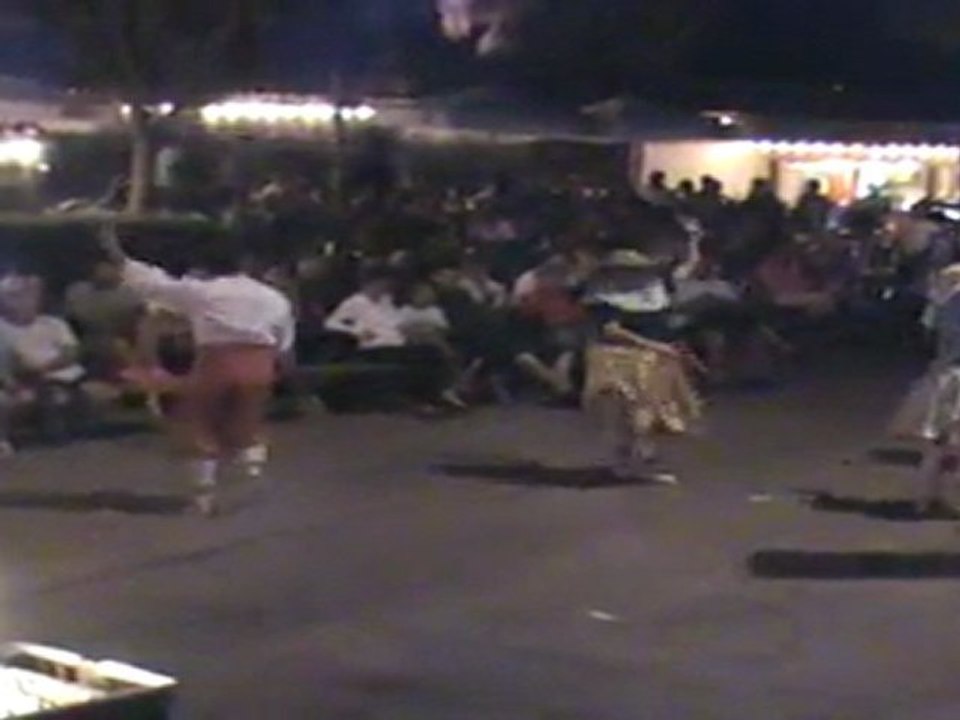 Spectacle danses catalanes   vigatanes de salanca