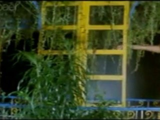 Tere Labo Ko Chu Kar - Phir Aayegi Woh Raat