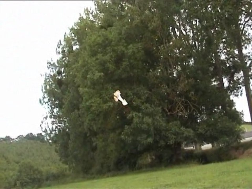 Avion PROGESS