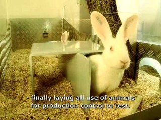 Novo Nordisk Reaches a Milestone in Animal Testing