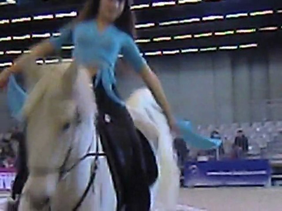 démonstration d'équitation poetique !!!