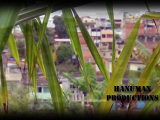 Junior "Cigano" Dos Santos Highlights