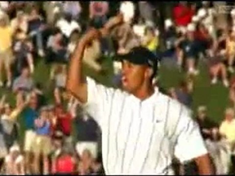 tiger woods, tiger woods best shots