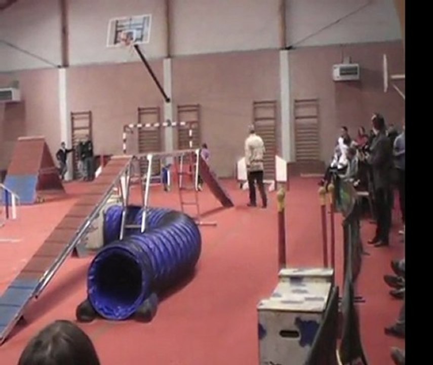 Wittes - 03 Décembre 2011 (Dragon & Dolmen)