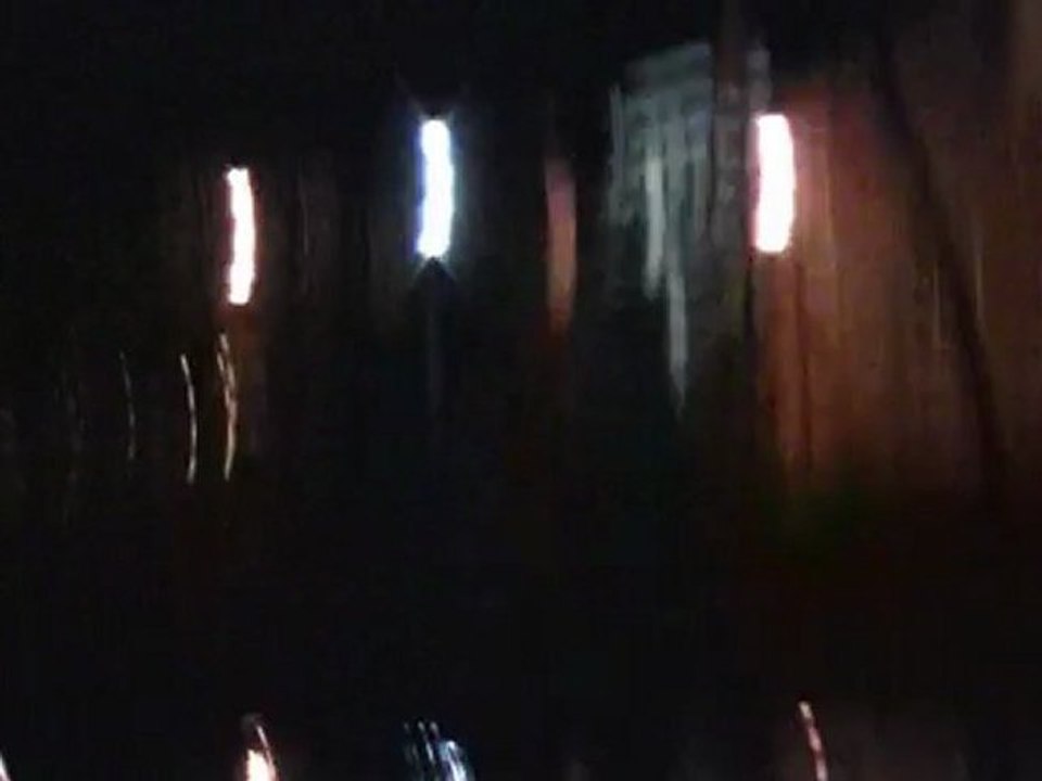 How to Get rid of Geese - Goose Night Attack!