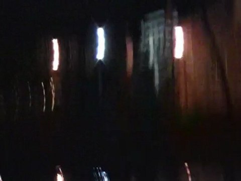 How to Get rid of Geese - Goose Night Attack!