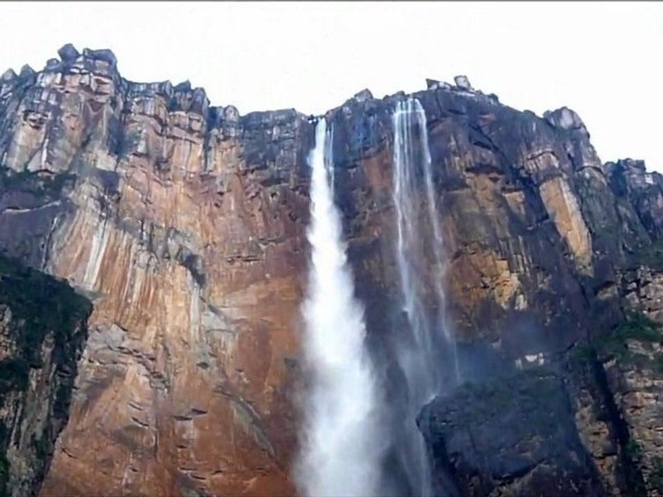 (I)  Venezuela,  Guyana,  Suriname,  French Guyana