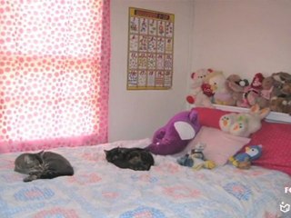 Decorating With Pink - ForRent.com