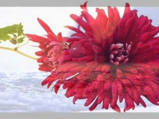 HİÇ KİMSE YAKIŞTIRAMAZ BİR HÜZNÜ - İ.UFUK KESİCİ