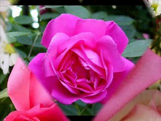 HANİ O BIRAKIP GİDERKEN SENİ