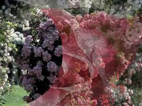 MELİHAT GÜLSES-BAHARIN GÜLLERİ AÇTI