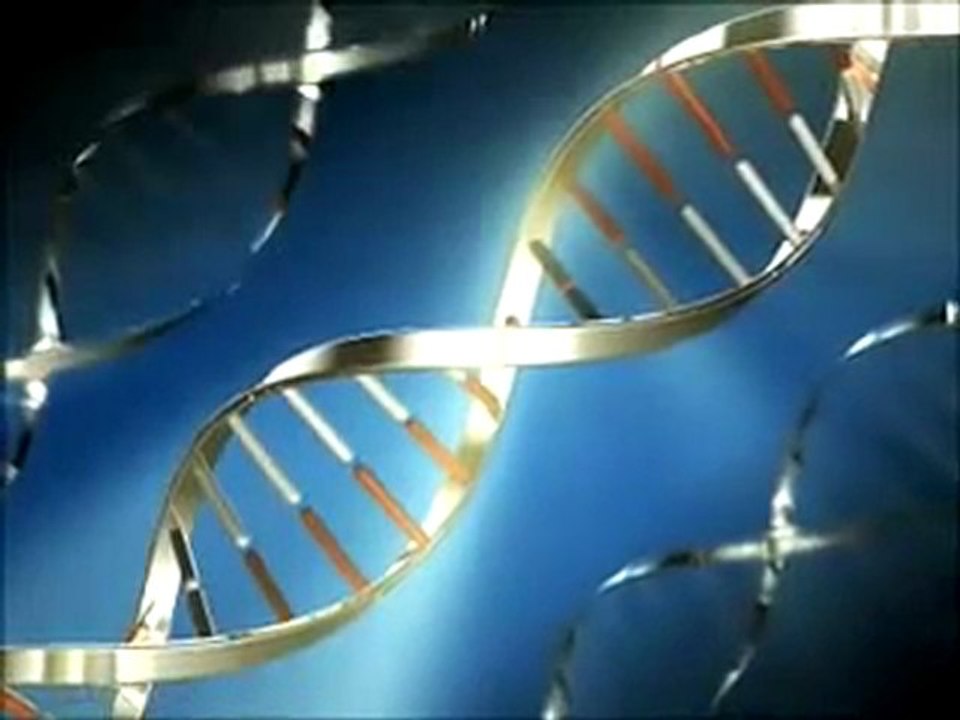 The Big Bang, idea goes back over 13 Billion years ago - New Biology 01- vxyx2z