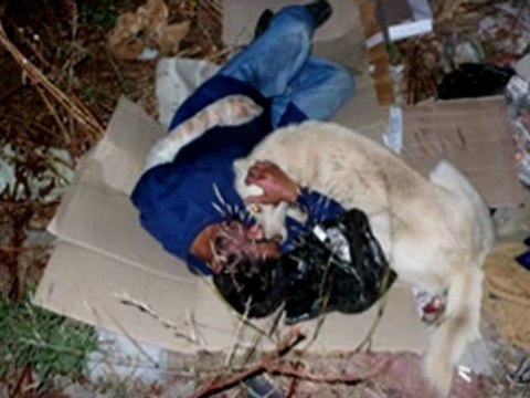 Marifet Kapısı / Ferhat Şahin / İMC TV