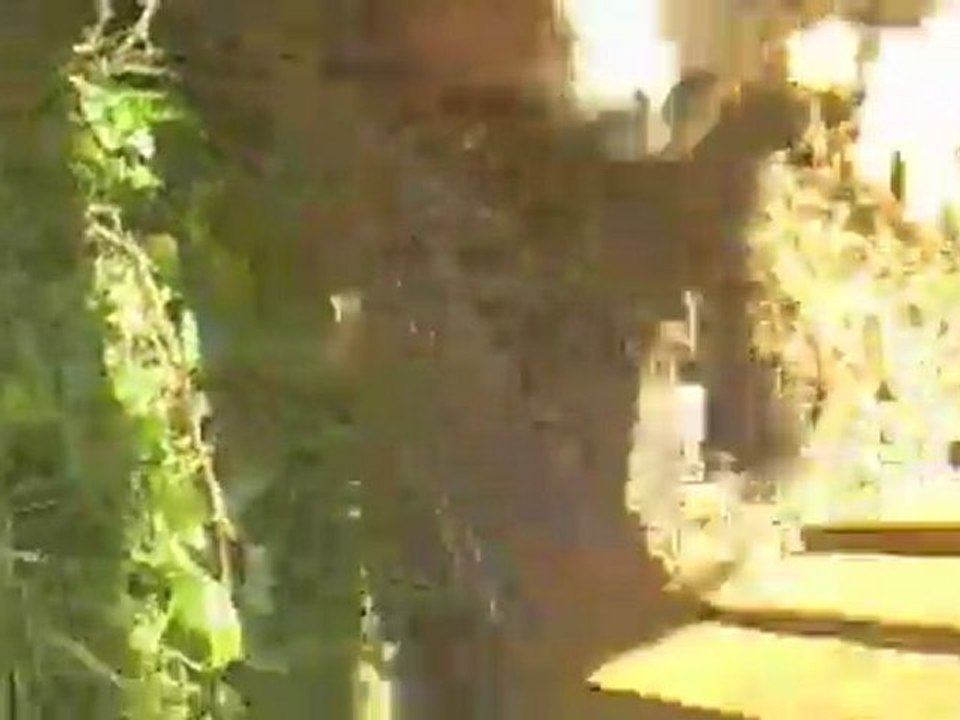 Pés