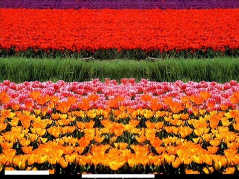 Müslüm Gürses bilebilsen @ MEHMET ALİ ARSLAN Grup @ 2011 - 2012 videoları arabesk