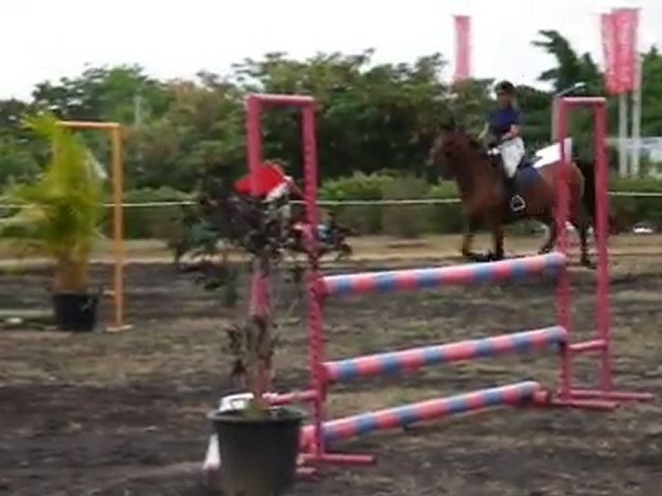 03.12.11 - Warm up - Isatis et moi