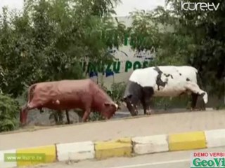 Bulutların Şehri  ARTVİN