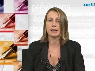 Xerfi Canal - Prévisions économiques 2012 -  France : quels secteurs pour soutenir l’économie?