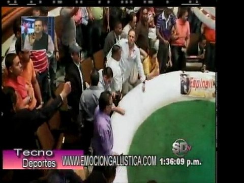 2da Parte Resumen Gallistico TECNODEPORTES Viernes 2-12-2011 por Manuel Perelló.-