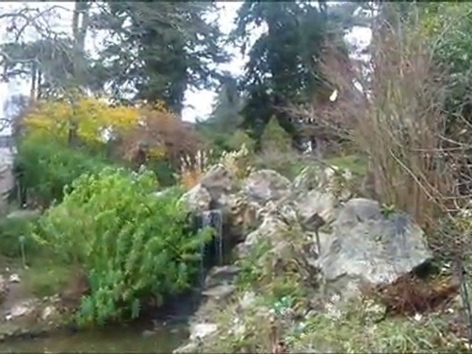 fin d'automne au jardin