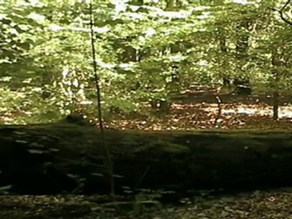 Stargate - The Euderion Chronicles FINAL