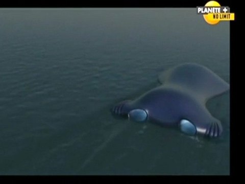 Chasseurs d'ovnis [ Objets submersibles non identifiés ] 2/2