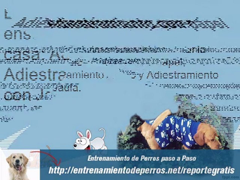 Como Educar a un Cachorro para hacer del baño