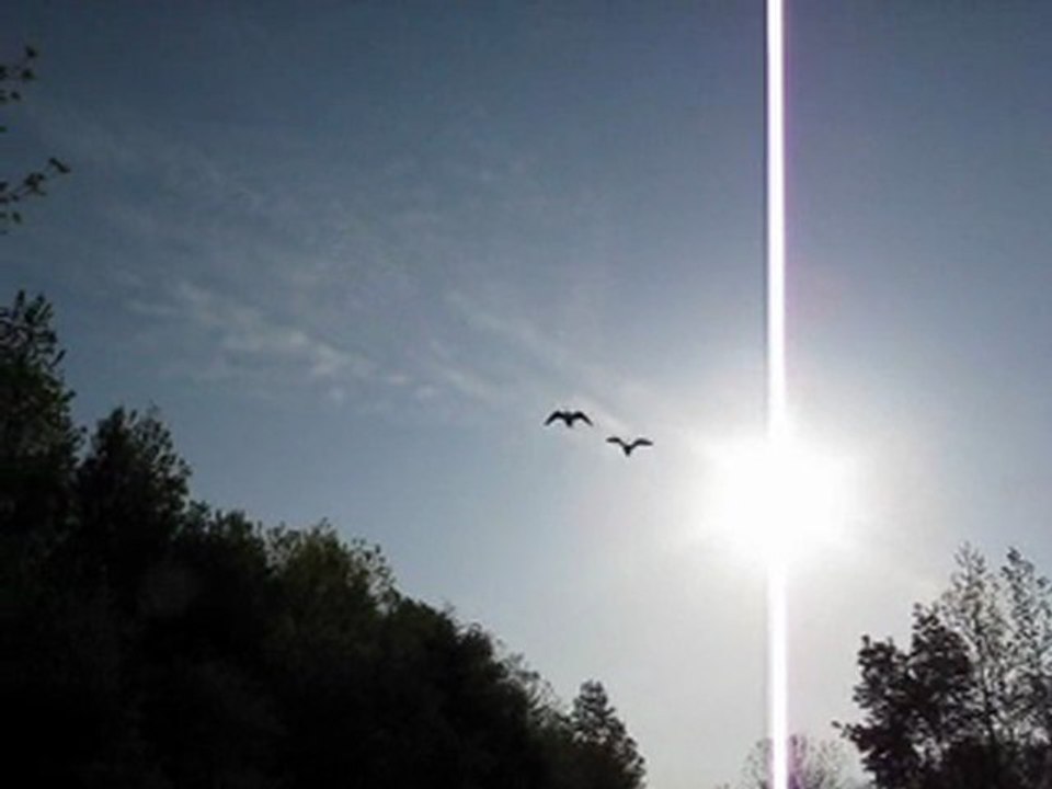 sometimes I feel like a motherless child -Odetta