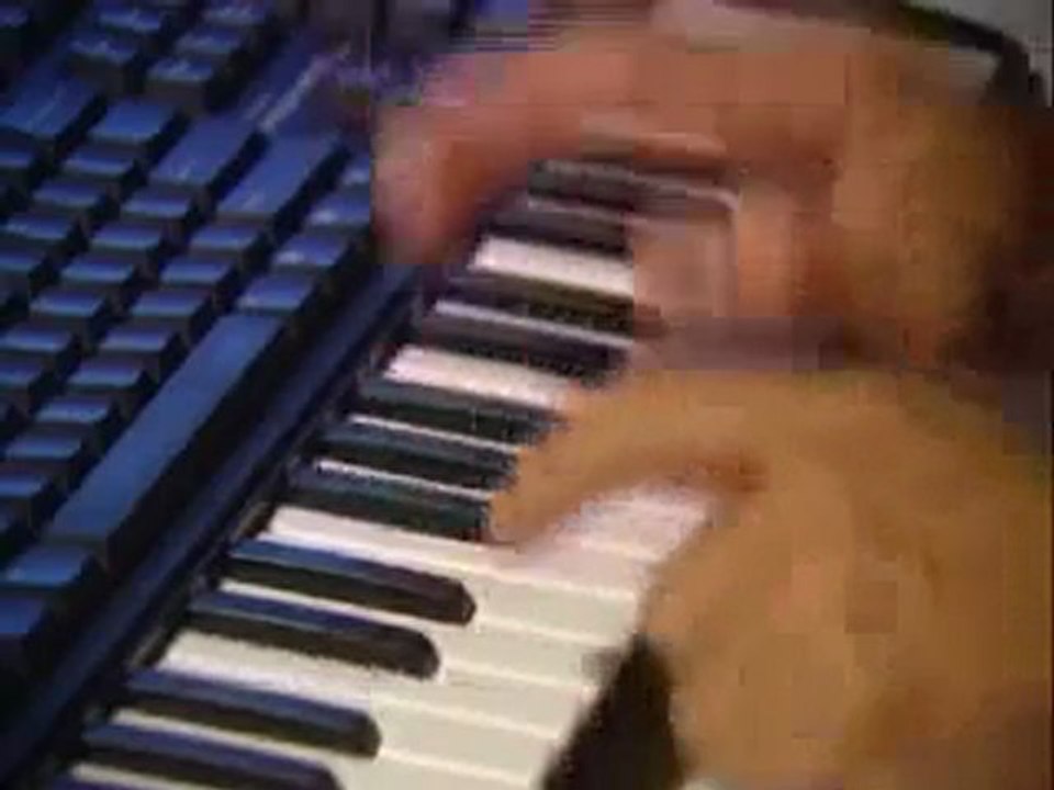 Oldie - This is Rock´n Roll