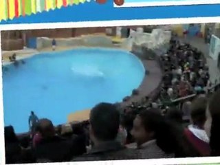 Sortie au parc Astérix