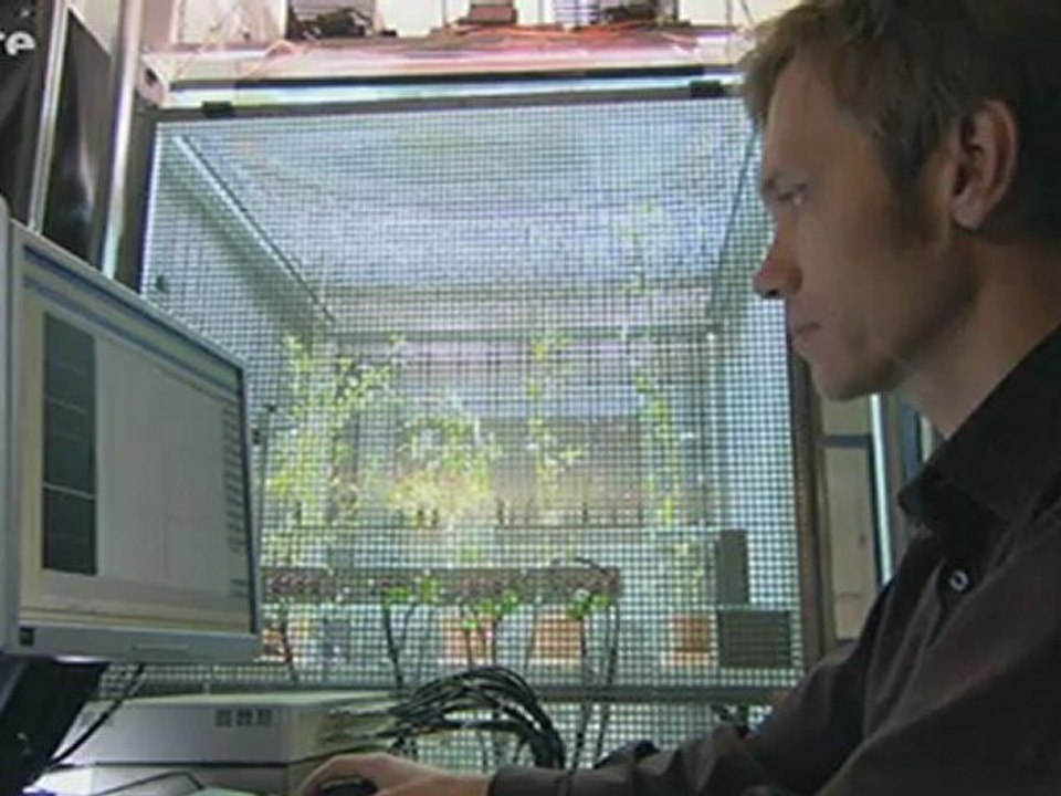 La force cachée des plantes - Partie 2/2 Championnes de la com