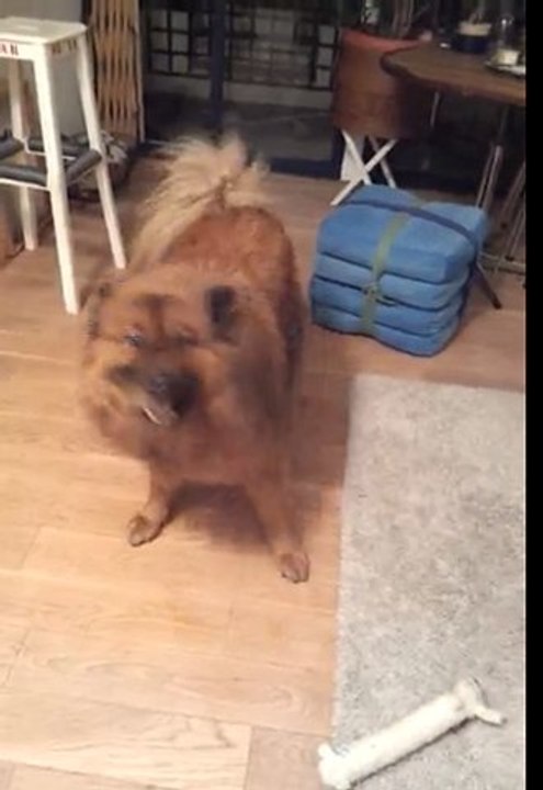 video-2011-12-08-18-37-00