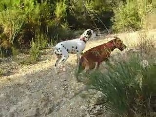 Grace avec ses Amis au Canal de Saint Julien