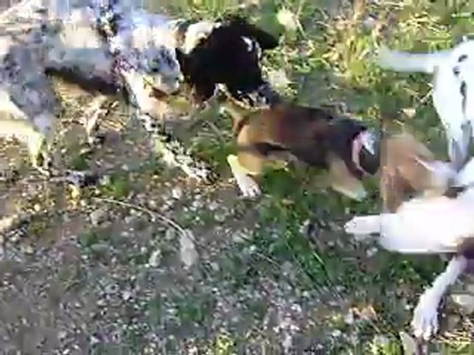 Grace avec ses Amis au Canal de Saint Julien