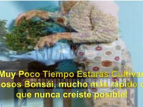 como hacer un bonsai paso a paso - como hacer bonsai - artificial bonsai