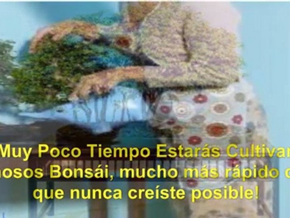 como hacer un bonsai paso a paso - como hacer bonsai - artificial bonsai
