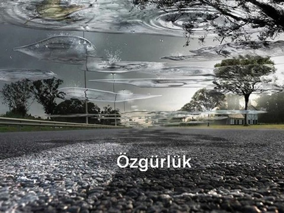 Özgürlük