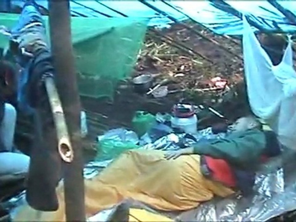 Brumes sur la Bairaman