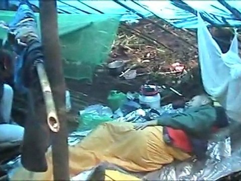 Brumes sur la Bairaman