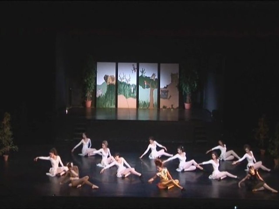 Gala de Danse 2009-24-Nuit sans fin