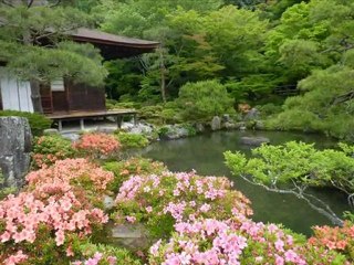 Notre voyage au Japon