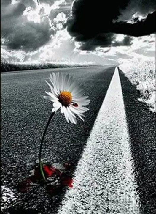 "ığdırın al alması"