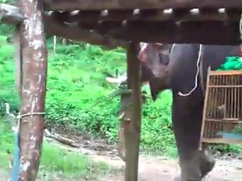 Aiptek GO-HD High Definition 720p Camcorder with 3x Optical Zoom